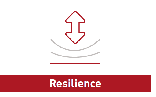 Emco wheaton resilience feature icon